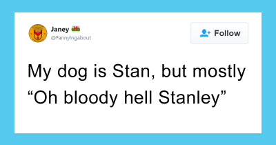 The Internet Shares What Nicknames Their Pets Have Earned, and It's the Greatest