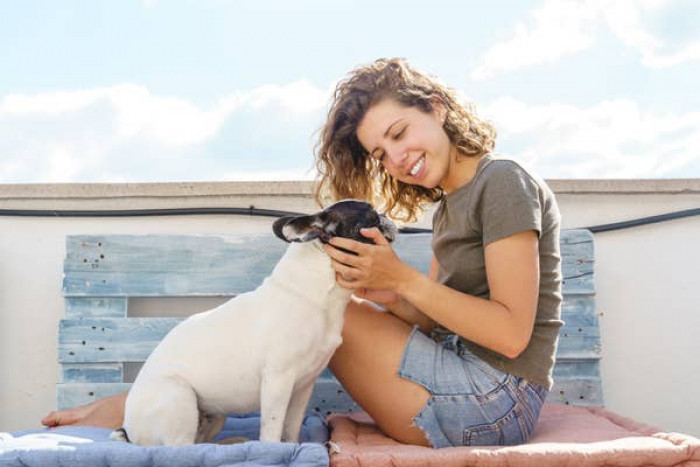 6. Your dog seeks comfort from you when it is scared or uncomfortable.