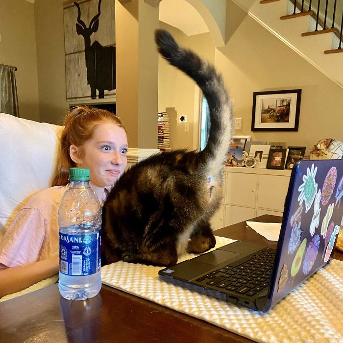 #2 The Cat Loves To Show Herself During The Daughter’s Virtual Classes