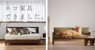 Japanese Designers Create The Most Regal Miniature Furniture For Cats