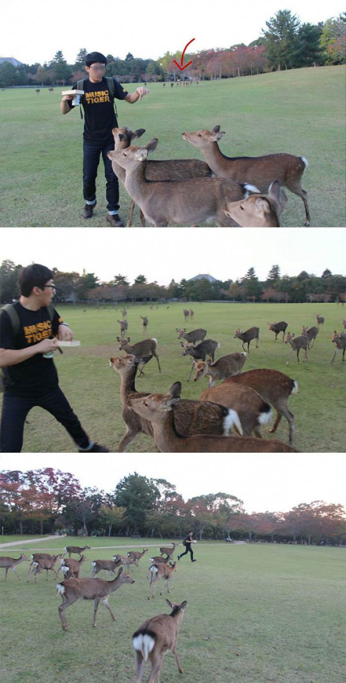 8. From Disney Movie to Nightmare