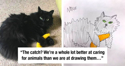 Shelter Flooded By Requests After Offering To Draw Hilariously Bad Pet Sketches To Raise Money