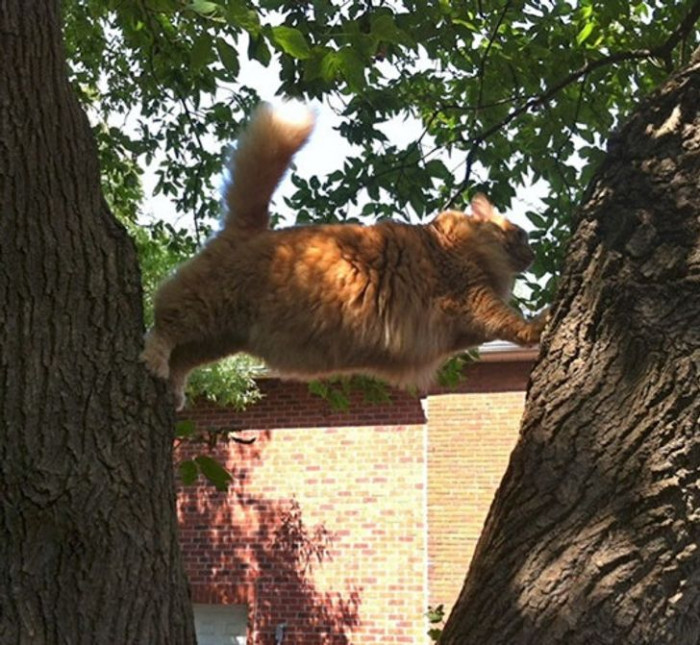 15. "We actually had to help him down."