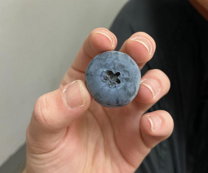 4. That's the biggest blueberry we've ever seen