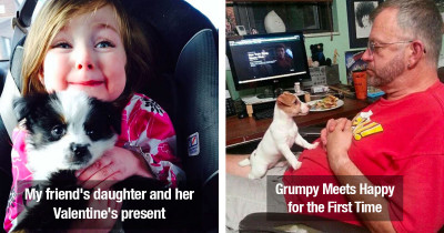 Puppies And Dogs Meeting Humans For The First Time Produce The Sweetest Photos