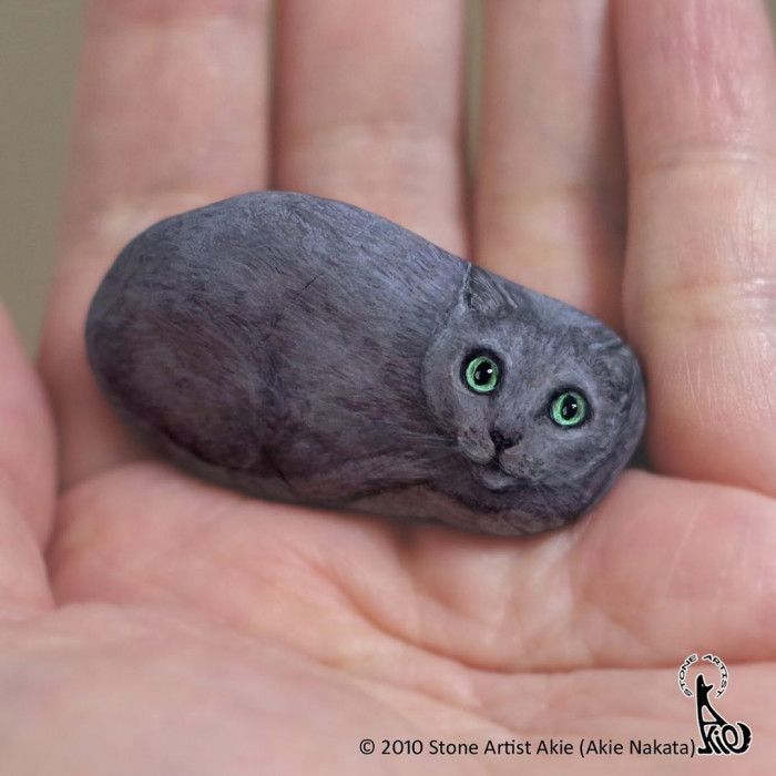 2. Grey cat