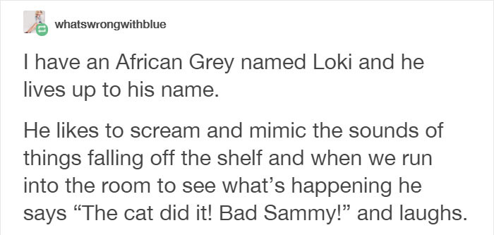 11. Loki is truly Loki.