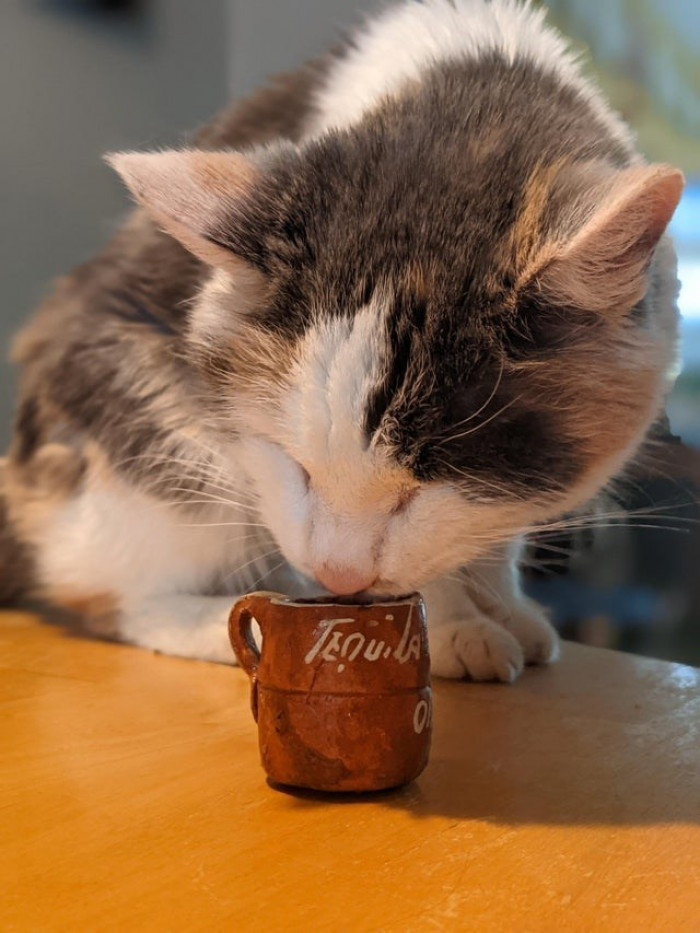 10. “Egg is 21 today! We brought her home from the shelter in December 2000. Since then, we have married, moved six times, and raised a teenager.”