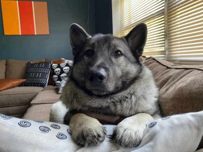 12. “He looks so polite!”