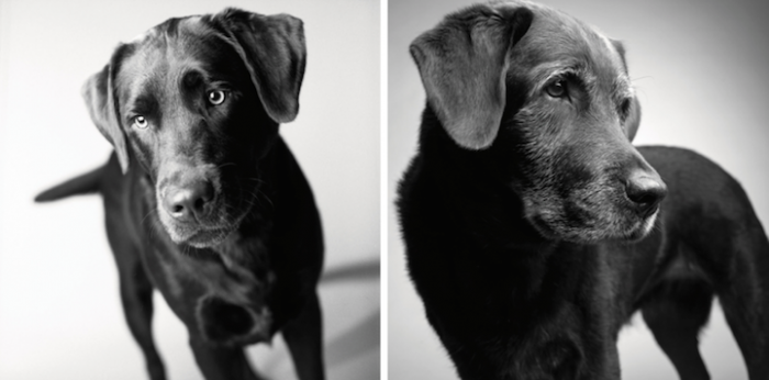 10. Corbet, 2 years and 11 years.