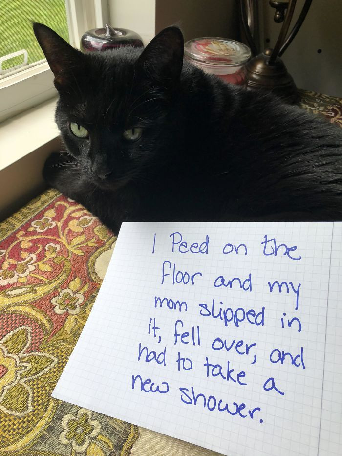 36. "I’ve Been Told This Belongs Here, And I’m Inclined To Agree"