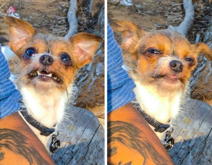 18. 'This is my dog. Her name is Squanchy.'