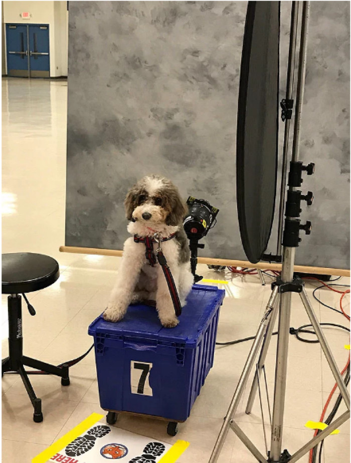 This guy looks just like my dog!