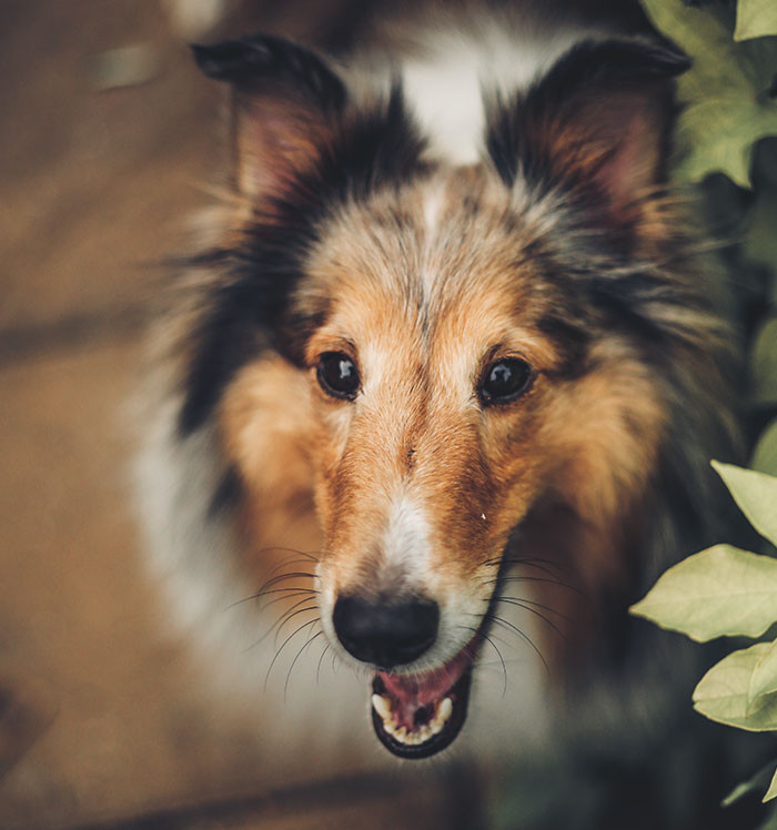 "What took you so long to come home?"