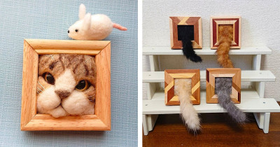 Realistic Cat Picture Frames Made By Incredible Japanese Artist Are Way Too Adorable