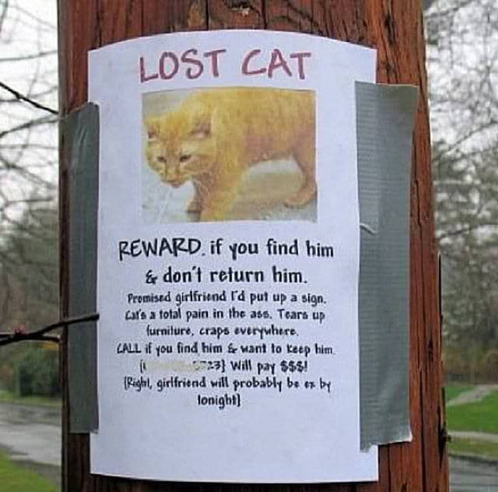  Please don't return this cat.