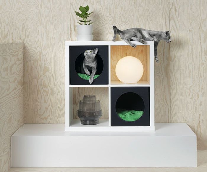  Shelves that also double as miniature cat houses