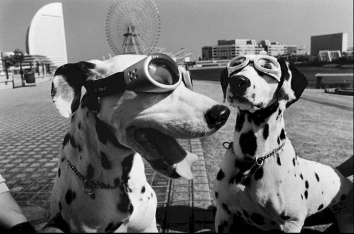 19. Yokohama, Japan, 2003