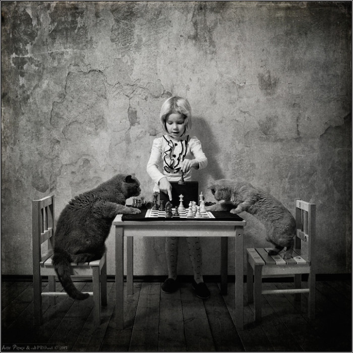 Settings he has used for these pictures include tea parties, balancing on books, working on the whiteboard, playing chess, and more.