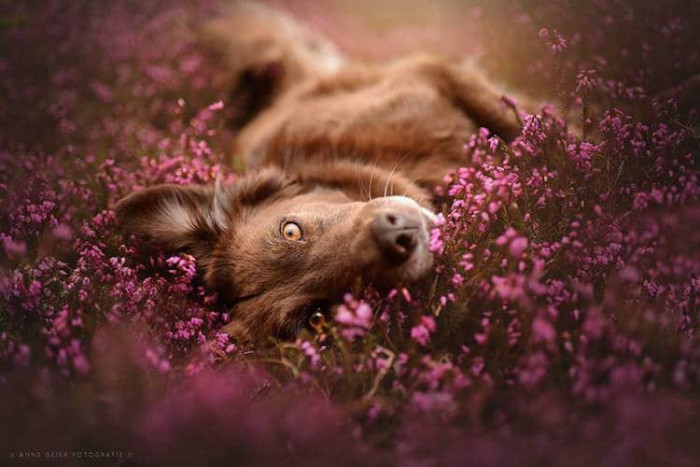 9. Springtime