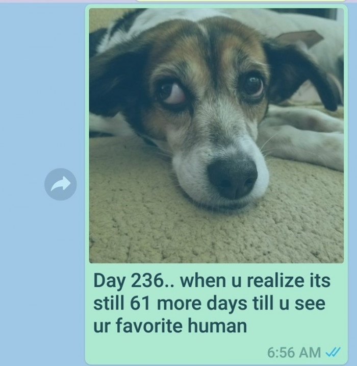Day 236.