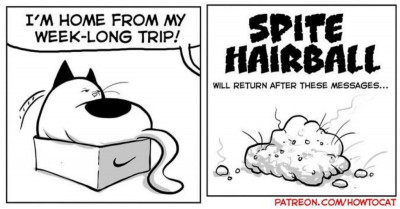 Artist Creates Adorable Comics About the Cat He and His Wife Rescued, and Here Are 45 of His Best Illustrations
