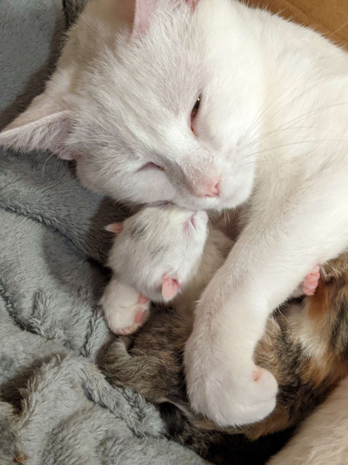 Mama Ally and her foster connected with each other from the very first minute.