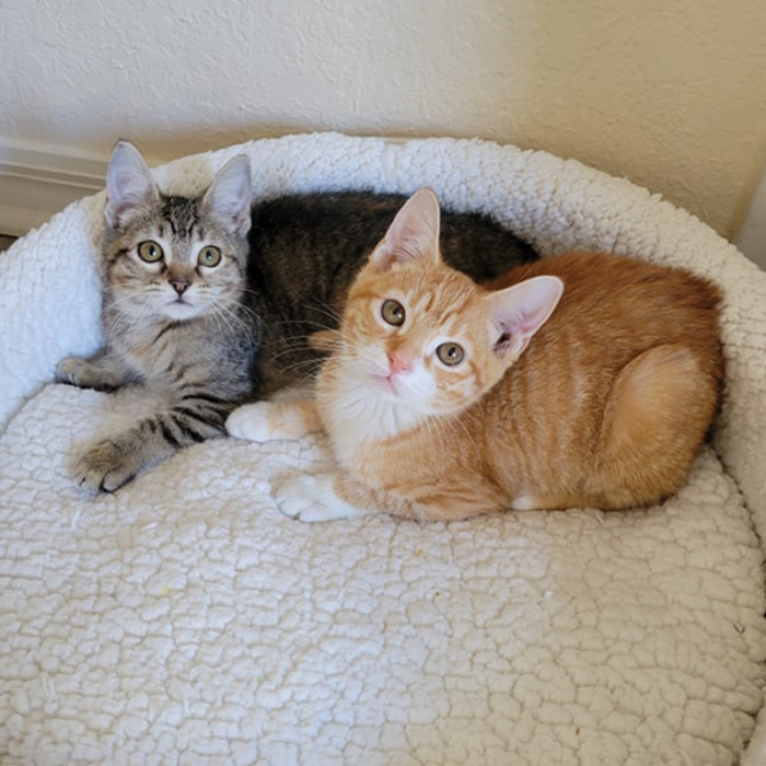 The moment they saw each other, Ginny and Emmy instantly clicked. They are now inseparable.