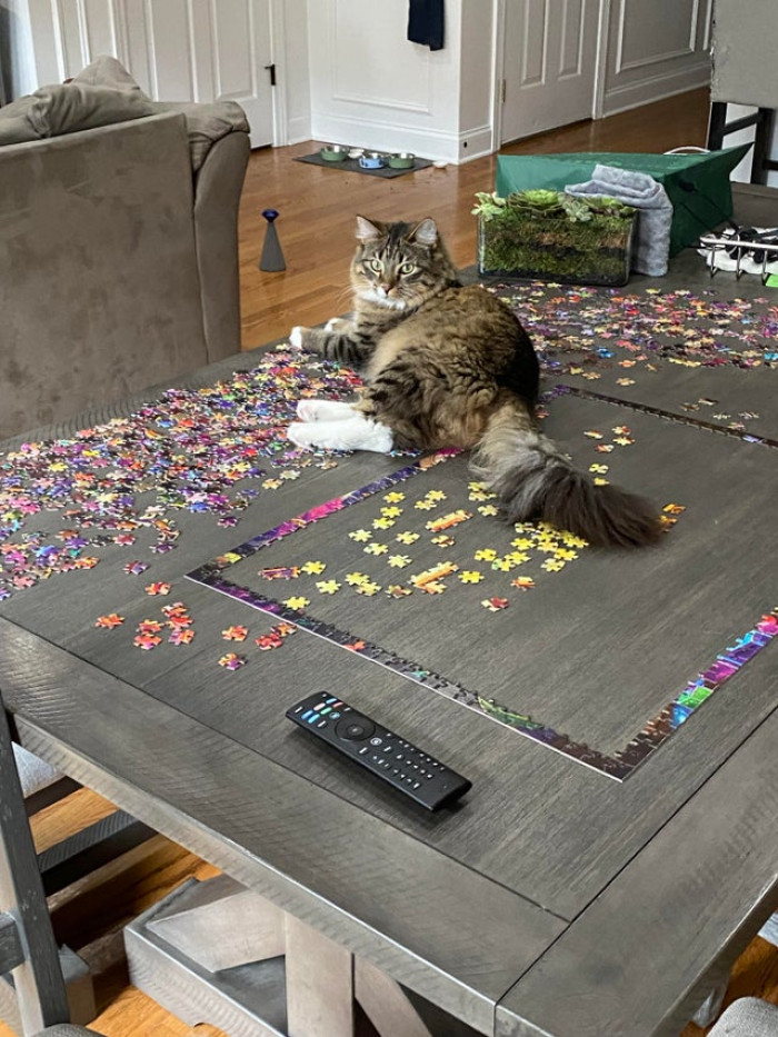 11. "Guarding the puzzle while I ride my Peloton"