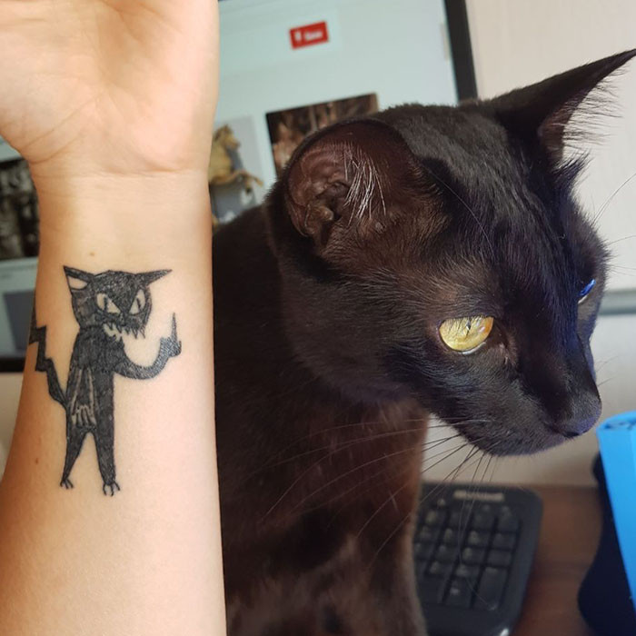 AwkwardTattoos on X Bad Cat Tattoo httptco9GUL5dp5yC  httptcoO0sPiRNsZr  X