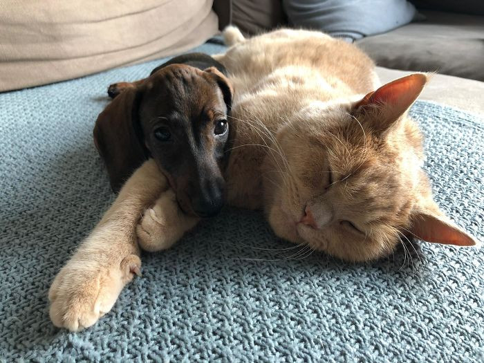 17. "Best Friends Since Yesterday"
