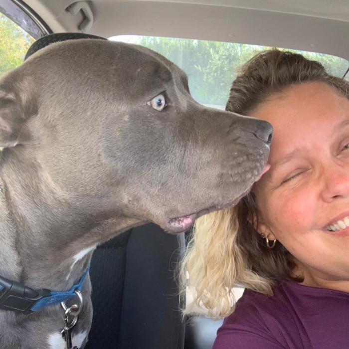 “He loves to play and loves to snuggle,” Shelton said. “He plays well with the other dogs, but he’s a little tougher than they are, so they tire a lot quicker than he does.”