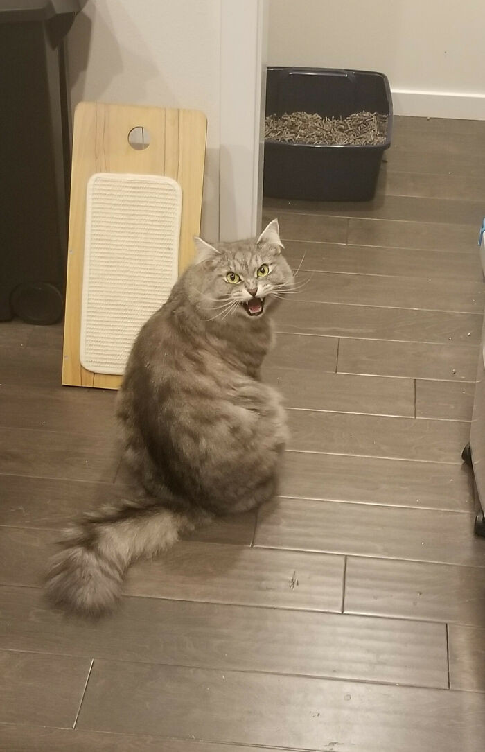 19. Oh Lawd He Hungry (A Picture You Can Hear)
