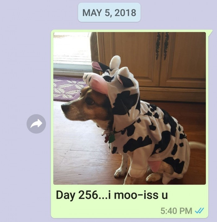 Day 256.
