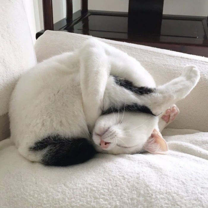 "I'm stuck for eternity."