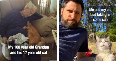 Senior Cats Are Living Their Best Senior Cat Lives