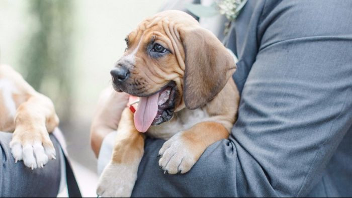 I need this cutie in my life.