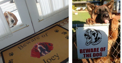Do Not Ignore These "Beware Of The Dog" Signs, Especially Because They're Too Adorable To Handle