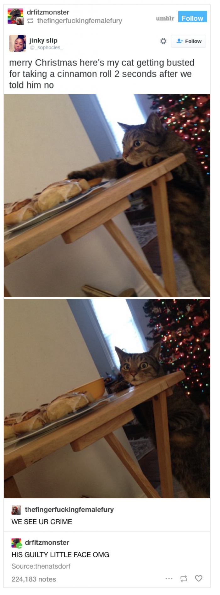 I live for that guilty face.