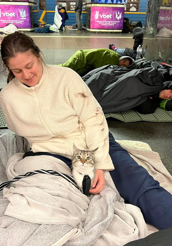 #16 My cat says hello as well