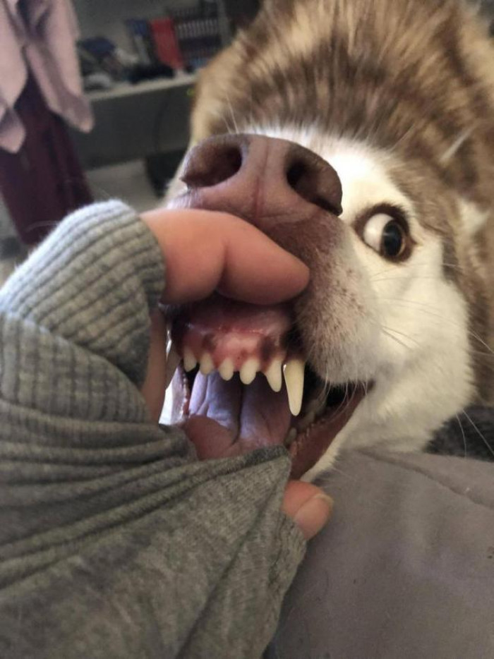 Catching a blorp mid-boop.