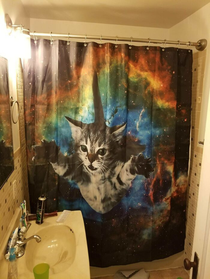 21. A New Shower Curtain Bought by My Wife