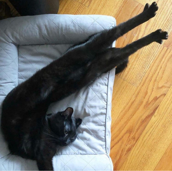 16. "Whatever Is Comfy I Guess"