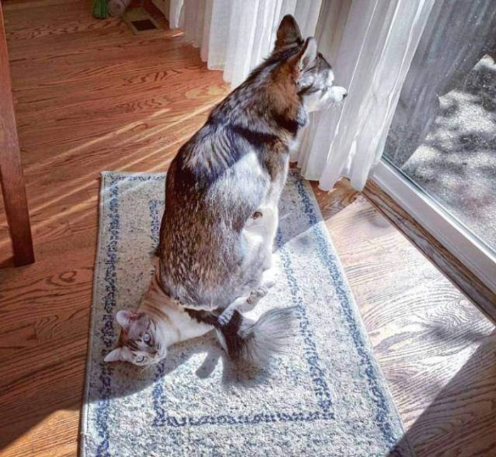 15. 'Hey buddy, I know you're comfortable, but I would appreciate it if you moved a little to the side.'