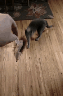   They don't play nicely...