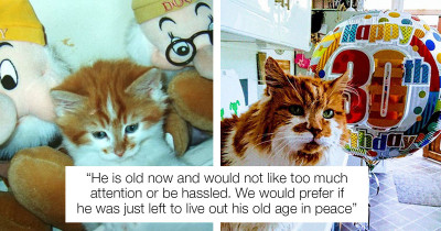 Rubble, The Oldest Living Cat In The World, Turns 30