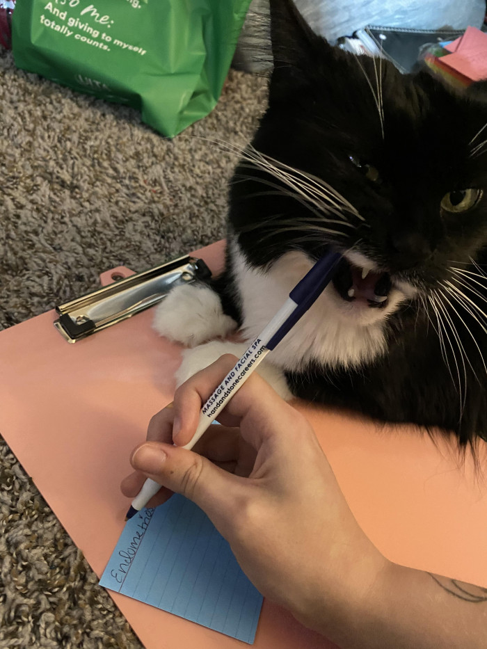 20. "Tokyo says no time for homework! Pay attention to me!"