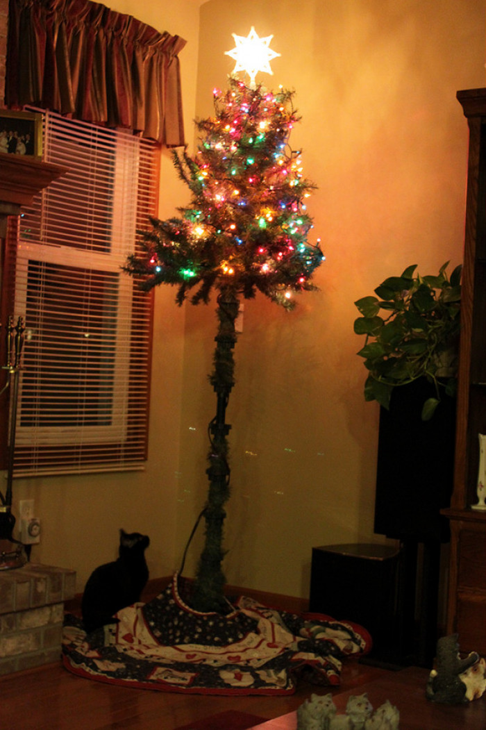 #15 Our Christmas Tree Thanks To The Worlds Highest Jumping Kitten