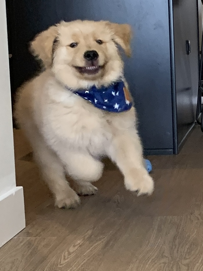 35. "He Heard The Treat Bag Open"