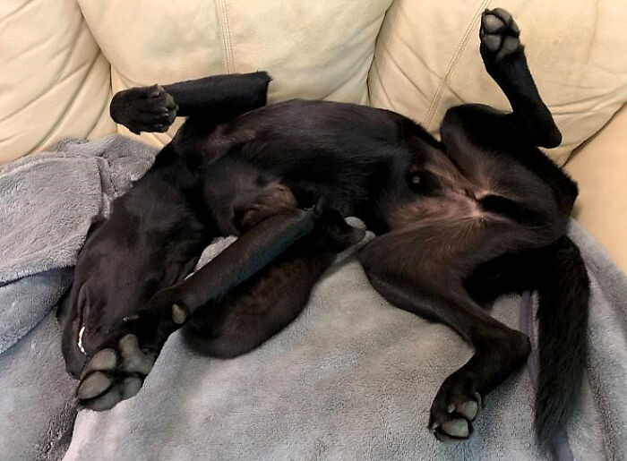 Bertie has been enjoying his well-deserved vacation after a job well done.